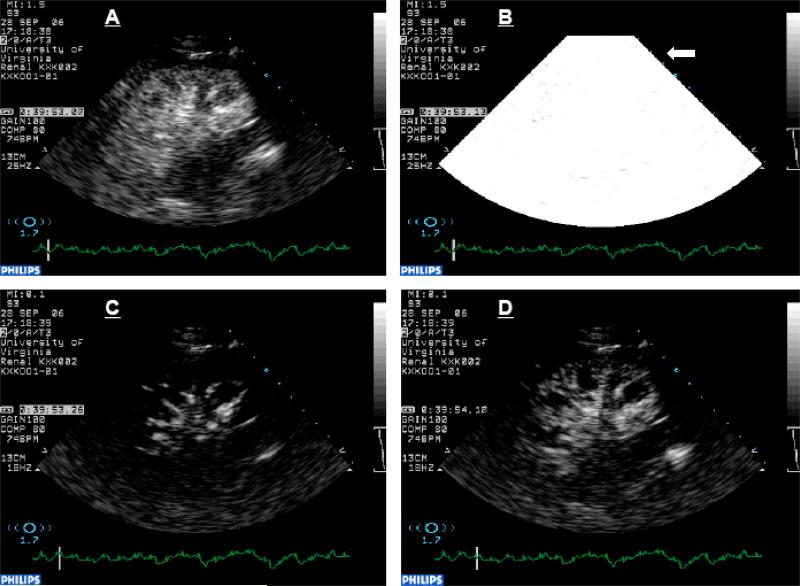 Fig. 5