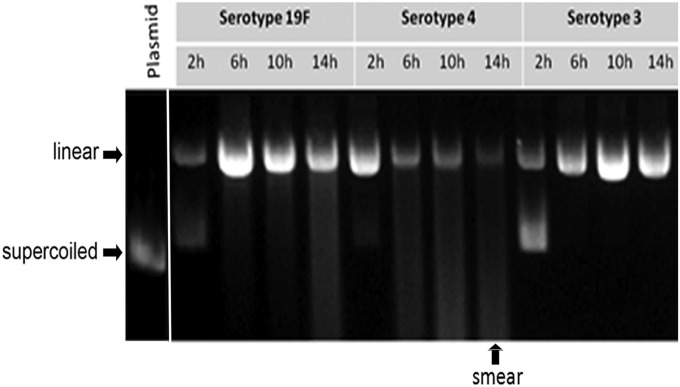 Fig. S6.