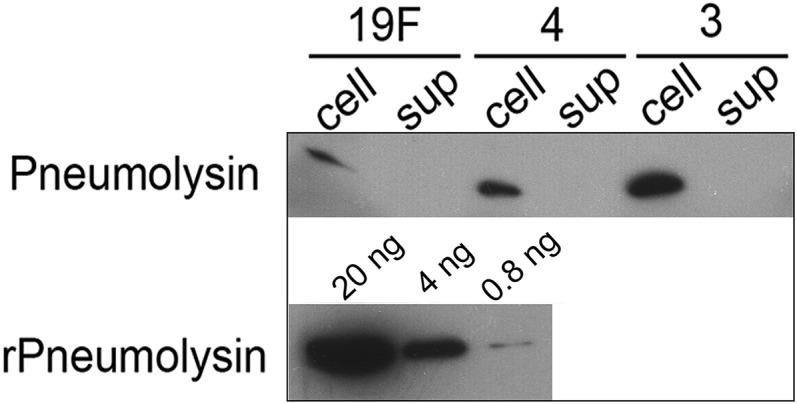 Fig. S5.