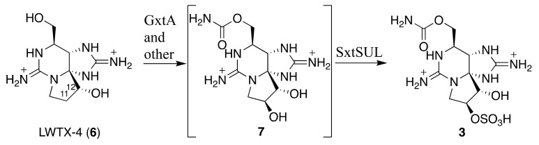 Figure 7