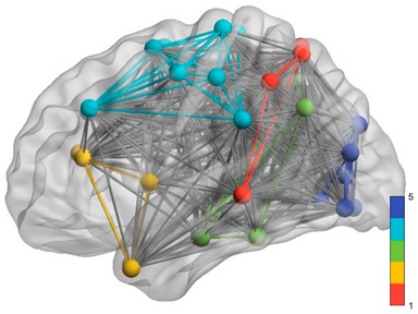 graphic file with name brainsci-11-00311-i006.jpg