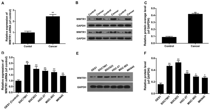 Figure 1.