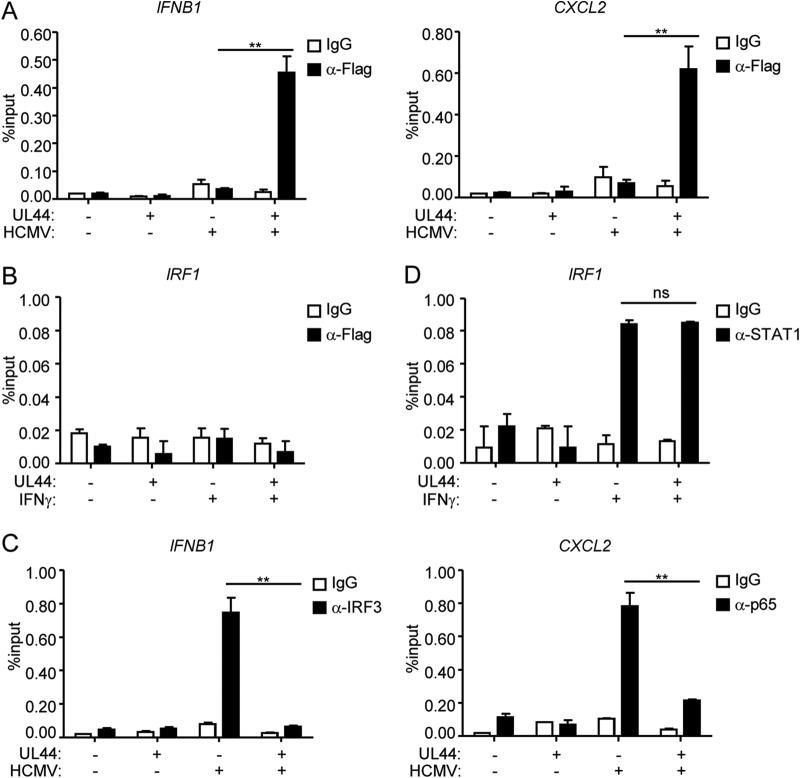 FIG 4