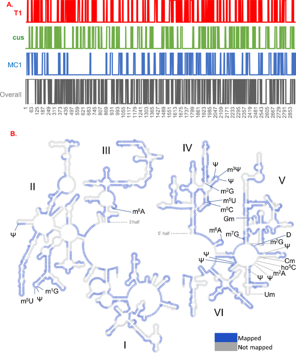 Figure 5: