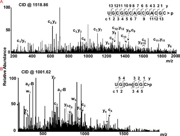 Figure 3: