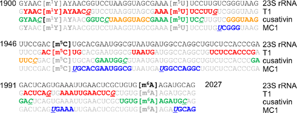 Figure 4: