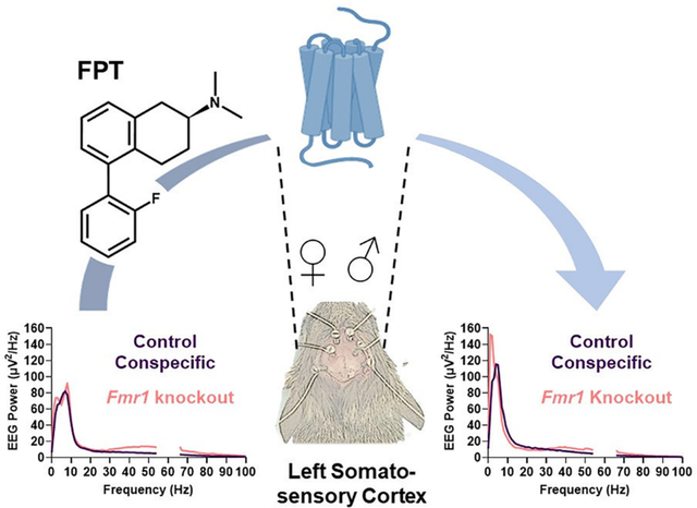 graphic file with name nihms-1913018-f0001.jpg