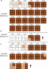 Extended Data Fig. 3