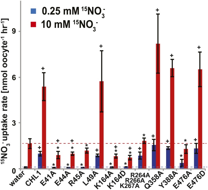 Figure 6.