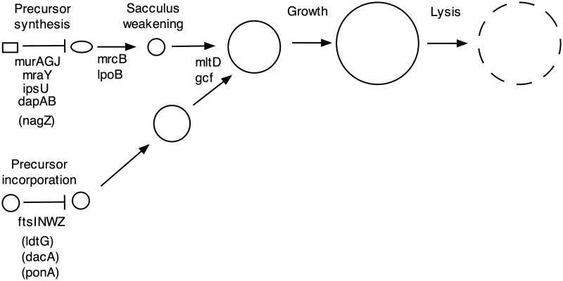 Fig 9