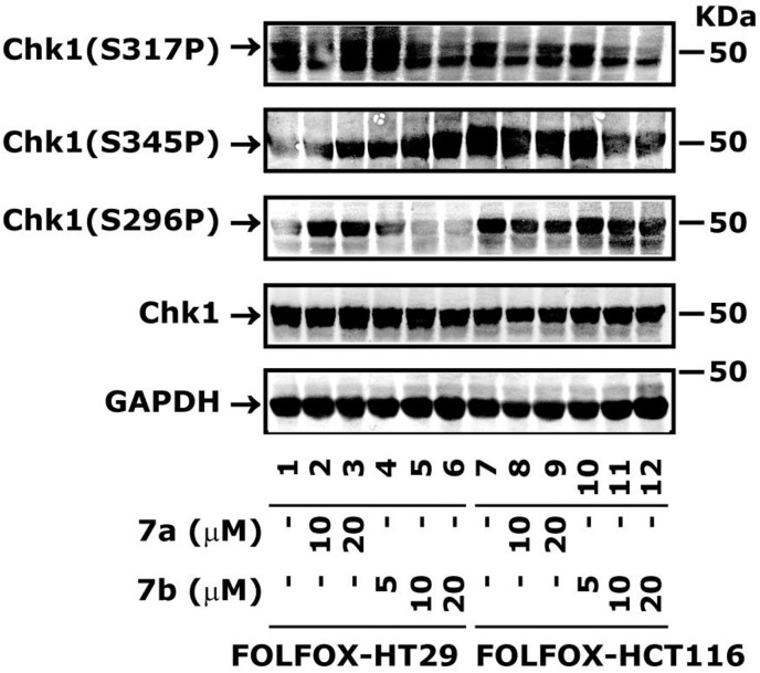 Fig. 5