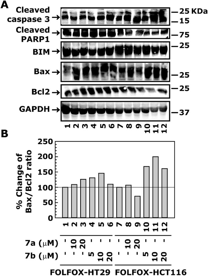 Fig. 7