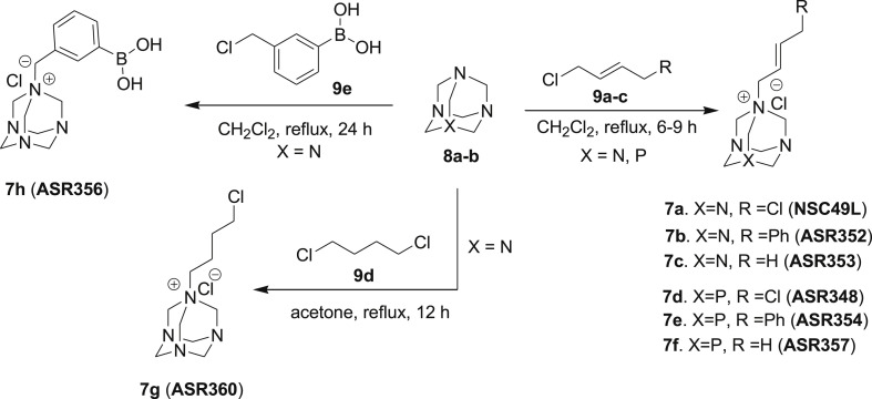 Scheme 1