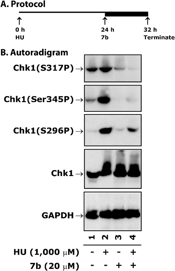 Fig. 4