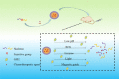 Image, graphical abstract