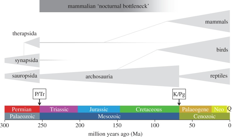 Figure 1.