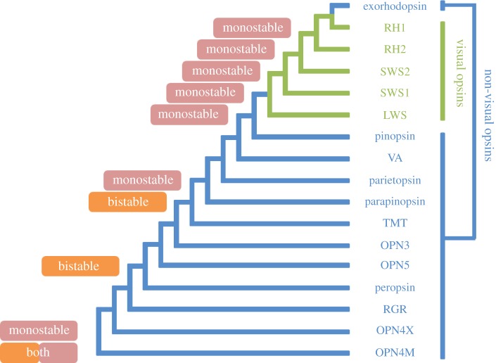 Figure 4.