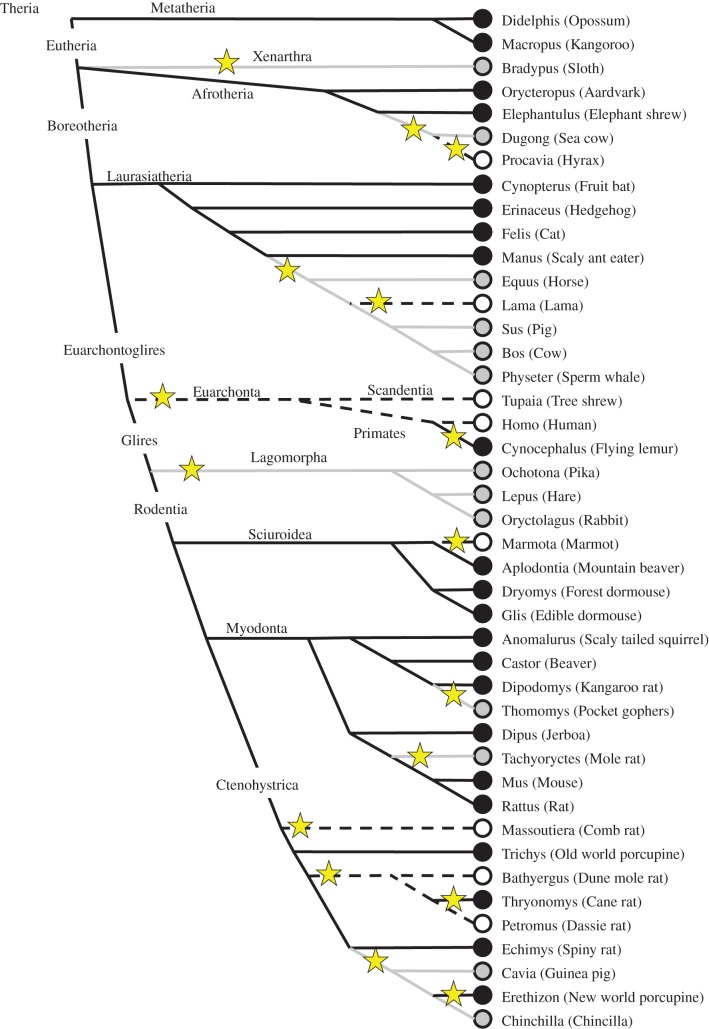 Figure 3.