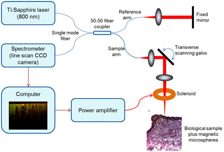 Fig 3