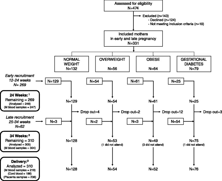 Fig. 1