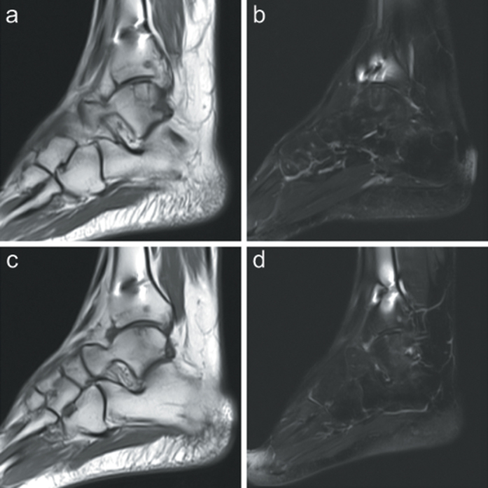 Figure 5. a-d.