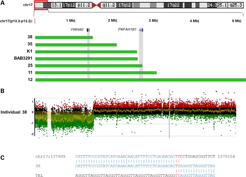 Figure 6.