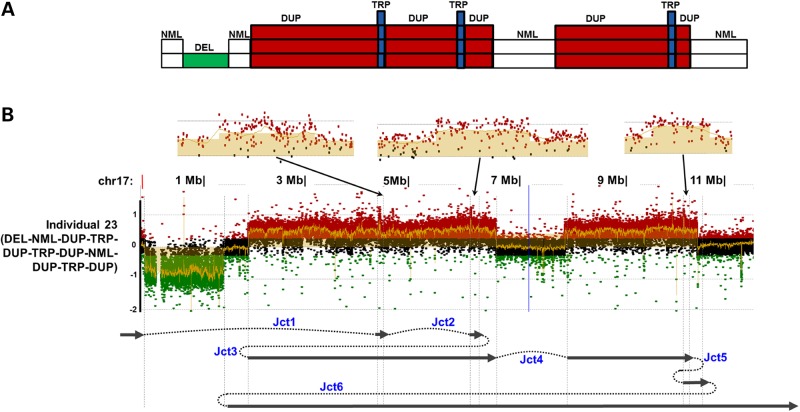 Figure 5.