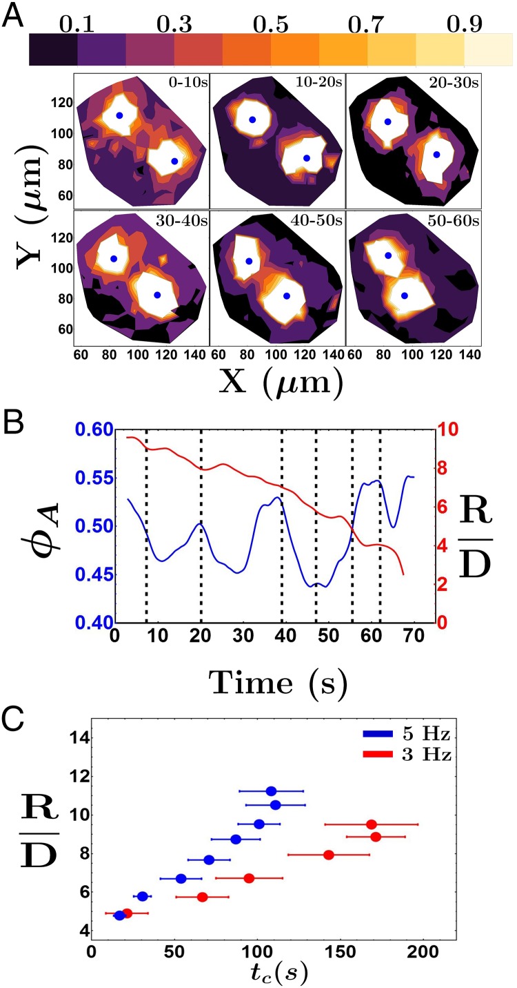 Fig. 6.