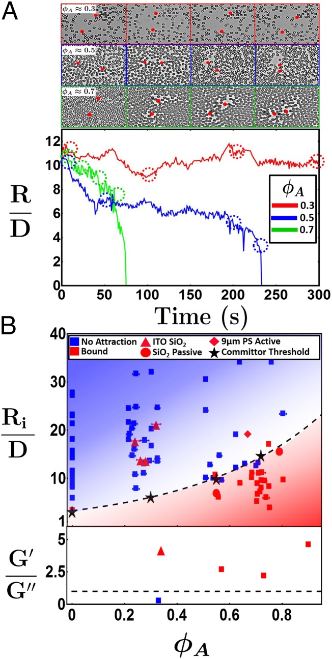 Fig. 3.