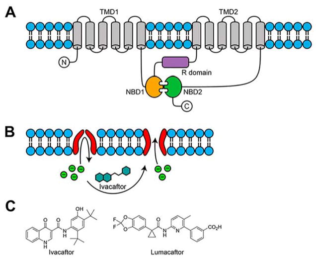 Figure 22