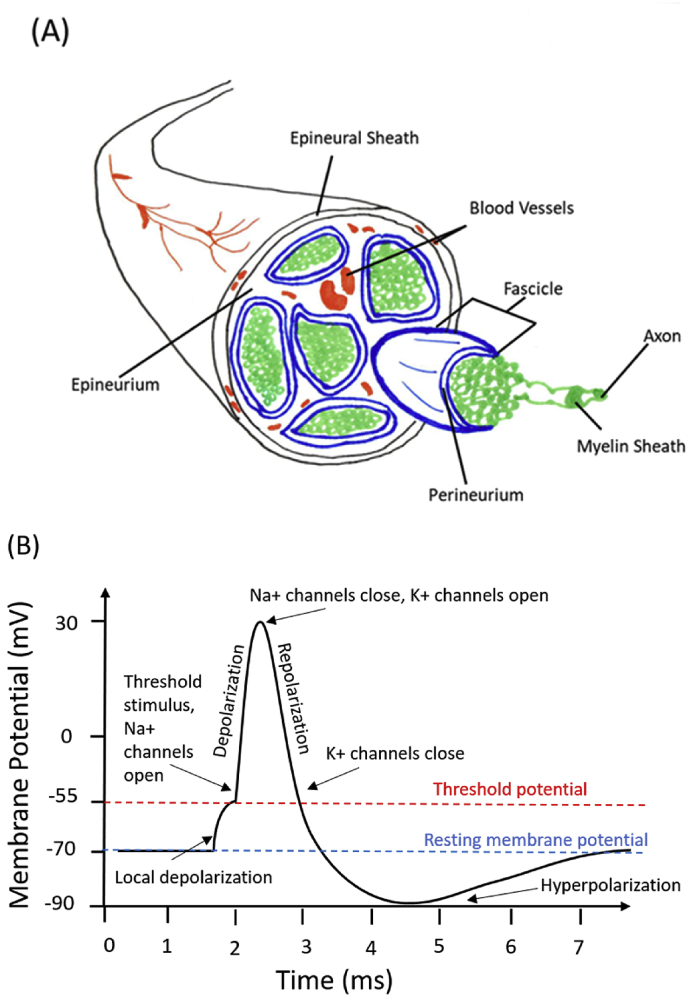 Fig. 6