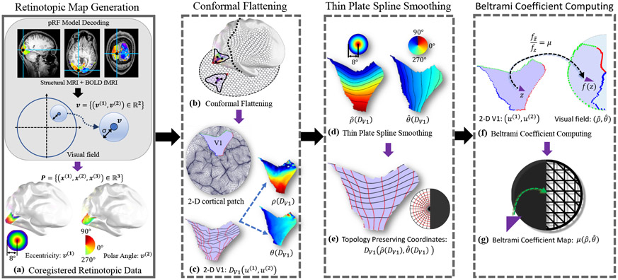 Figure 4: