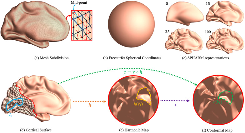 Figure 6:
