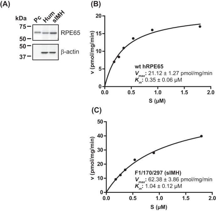 FIGURE 7.