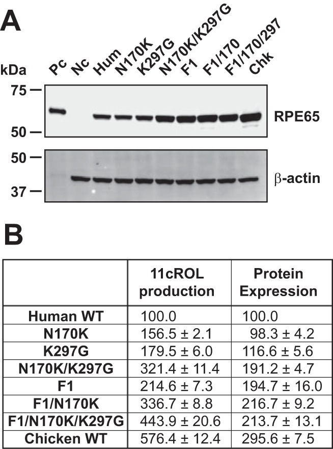 FIGURE 6.