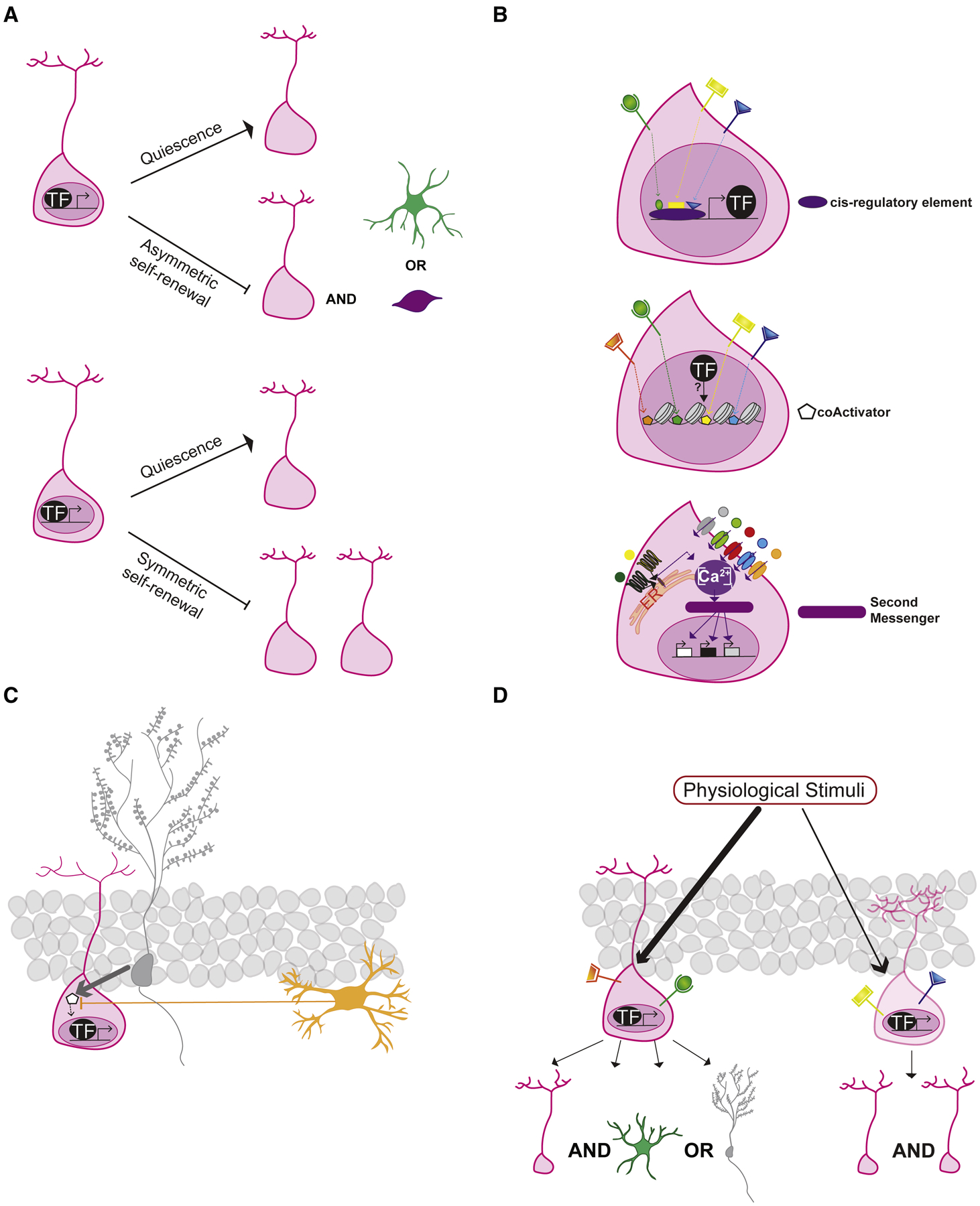 Figure 4.