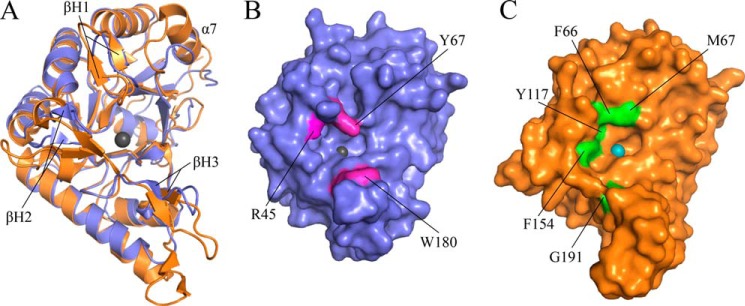 FIGURE 4.