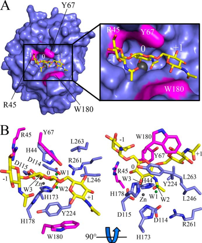 FIGURE 5.