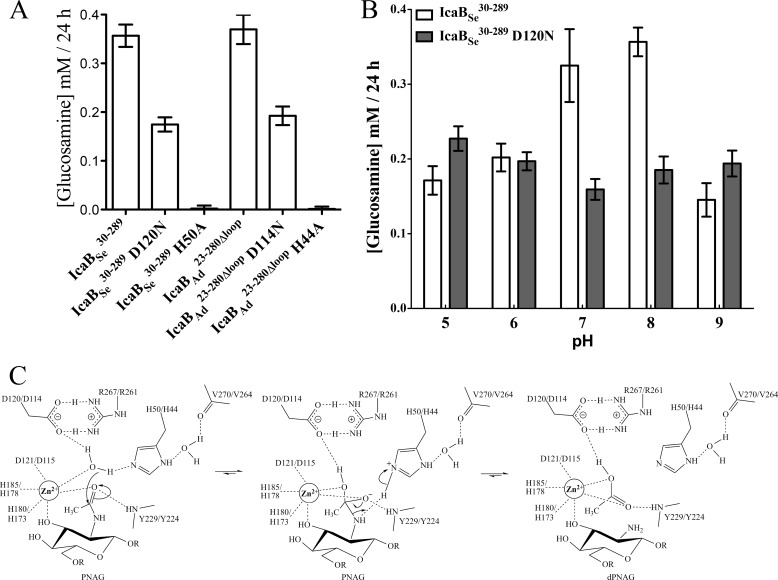 FIGURE 6.