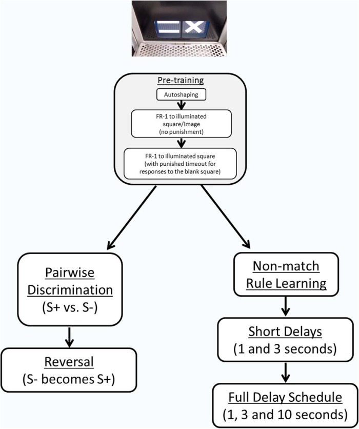 Figure 1.