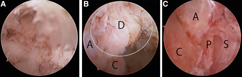 Fig 5