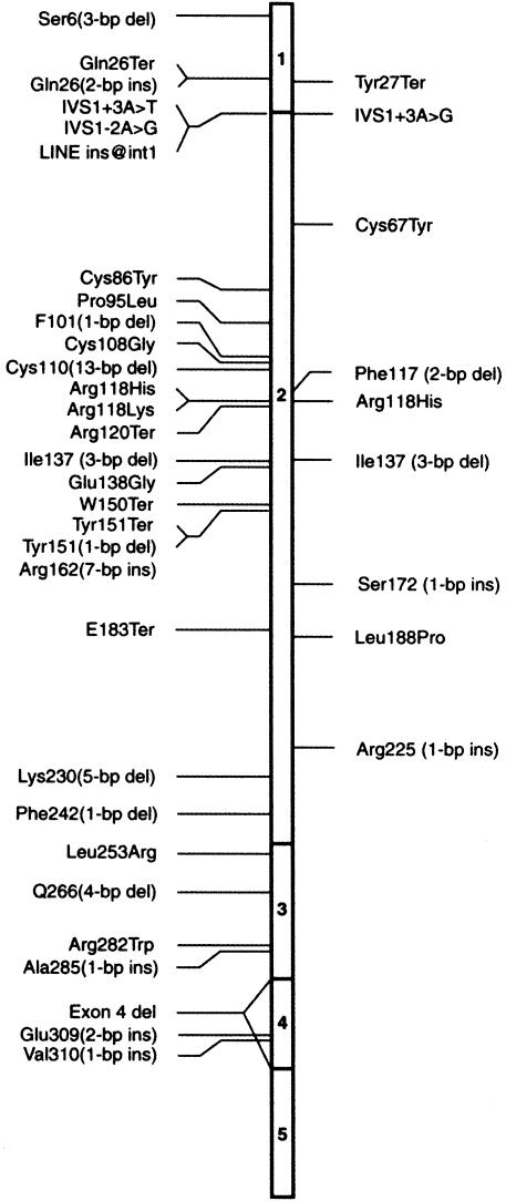 Figure  1