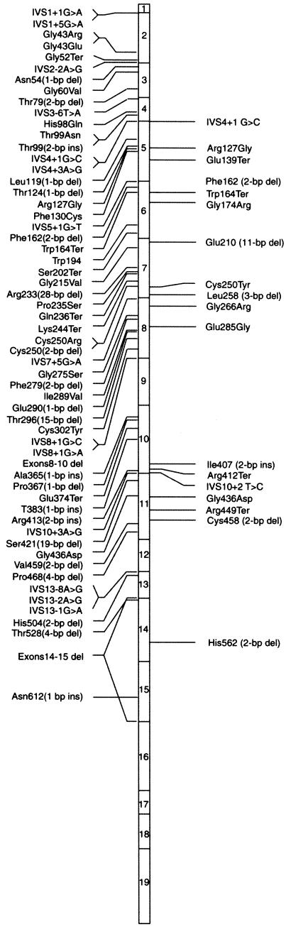 Figure  2