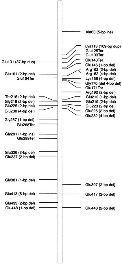 Figure  3