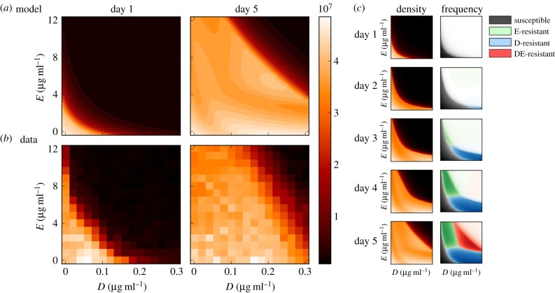 Figure 6.