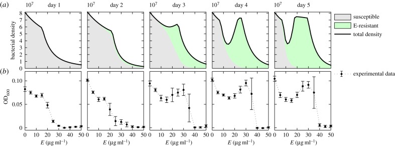 Figure 5.