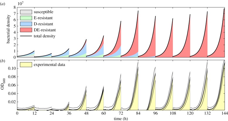 Figure 4.