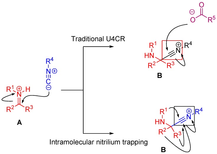 Scheme 9