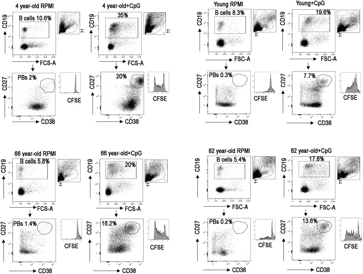 Figure 3