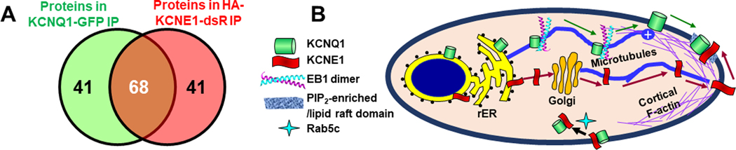 Fig. 14